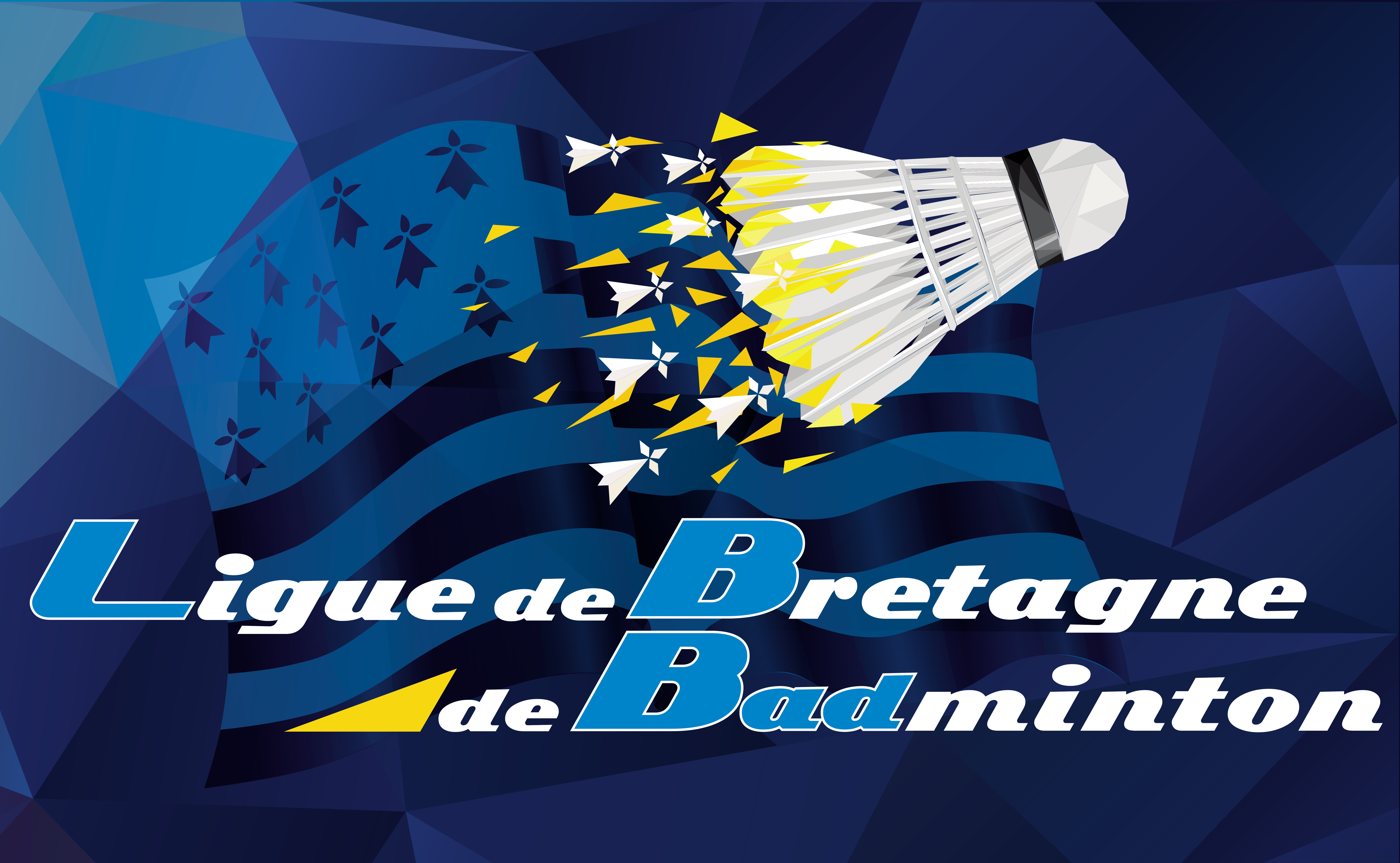 Logo Ligue Bretagne